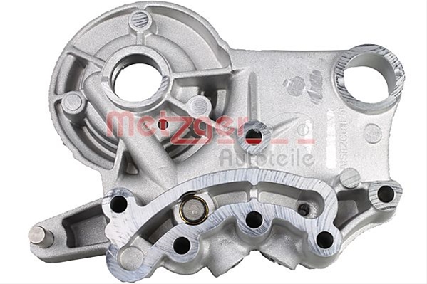 METZGER 2410024 2410024 PORTLAGAR ARBORE CU CAME METZGER CSNBB